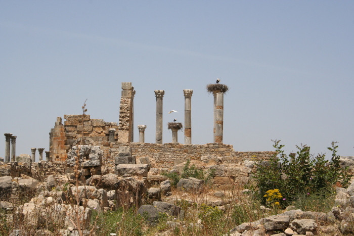 Volubilis