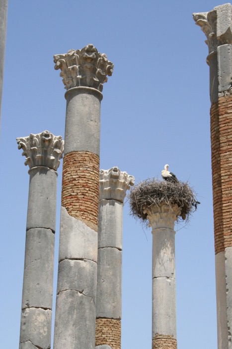 Volubilis