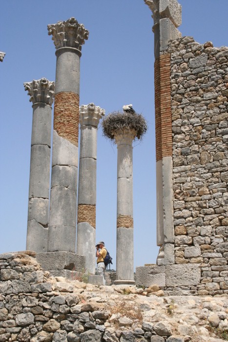 Volubilis