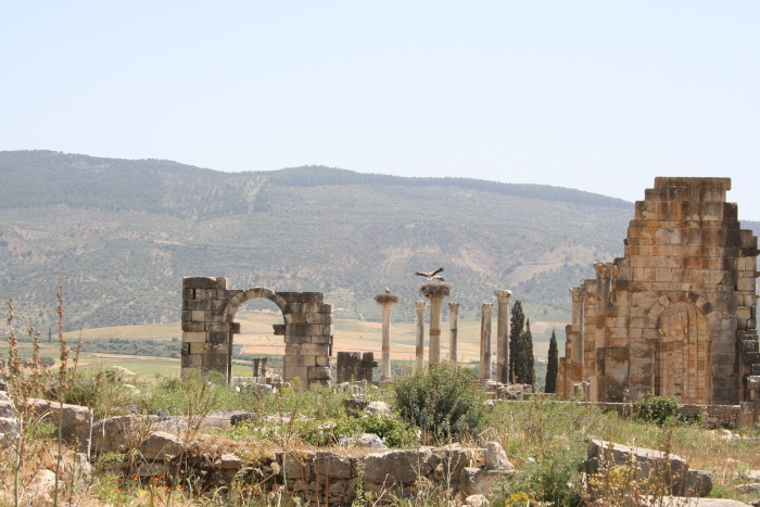 Volubilis