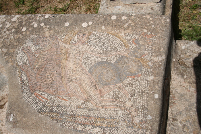 Volubilis