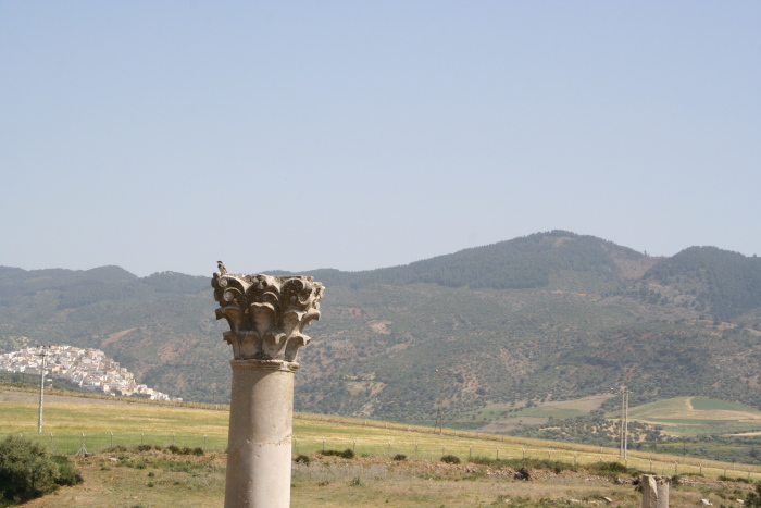 Volubilis