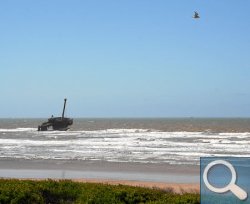 Wrack am Plage El Haouzia bei El Jadida